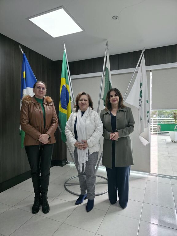 a documentação apresentada para o registro foi conferida pela Comissão Eleitoral, composta por Maria Inês Cordeiro da Silva Guiné, Esabel Szeuczuk e Daniela Barbieri